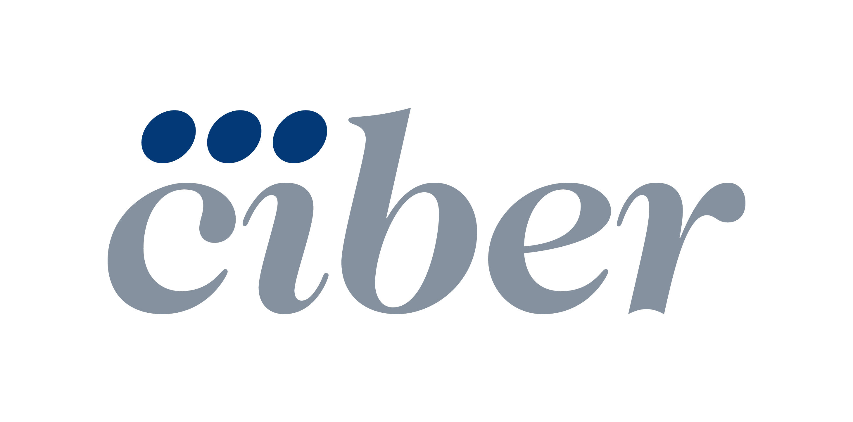 Centro de Investigacion Biomedica en Red (CIBER) logo